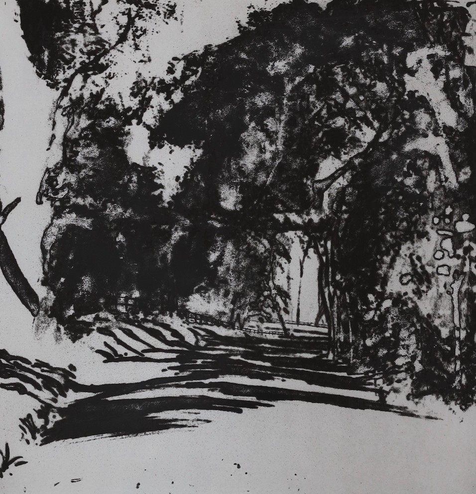 Norman Ackroyd (b.1938-), etching and aquatint, 'Study of trees and sunlight - Selborne', signed in pencil and dated 1980, 11/30, 43 x 40cm